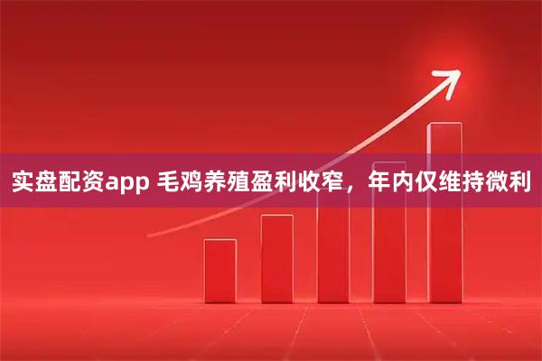 实盘配资app 毛鸡养殖盈利收窄，年内仅维持微利